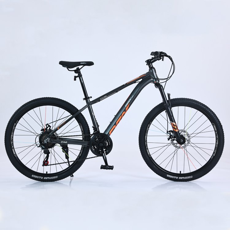 Tianjin Popular Product 21 Speed Bicicleta De BMX Price Bicycle 24 26 29 inch Trek Adult Cycle Mountain Bike for Men