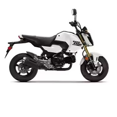 POPULAR IN DEMAND FOR 2024 Hondas GROM-Base 124cc 4 Stroke Sport Motorcycle