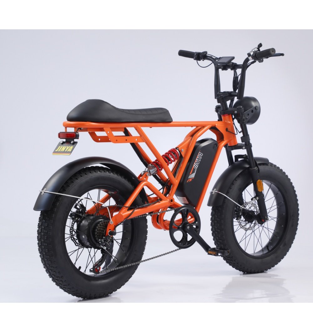 Popular Ebike Electric Bike Electric Fat Bike Electric Mountain Bike Bicicleta Electrica E Bicycle