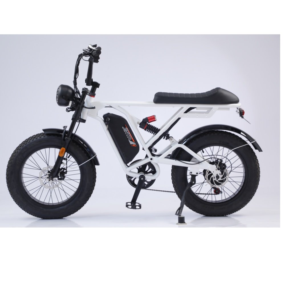 Popular Ebike Electric Bike Electric Fat Bike Electric Mountain Bike Bicicleta Electrica E Bicycle