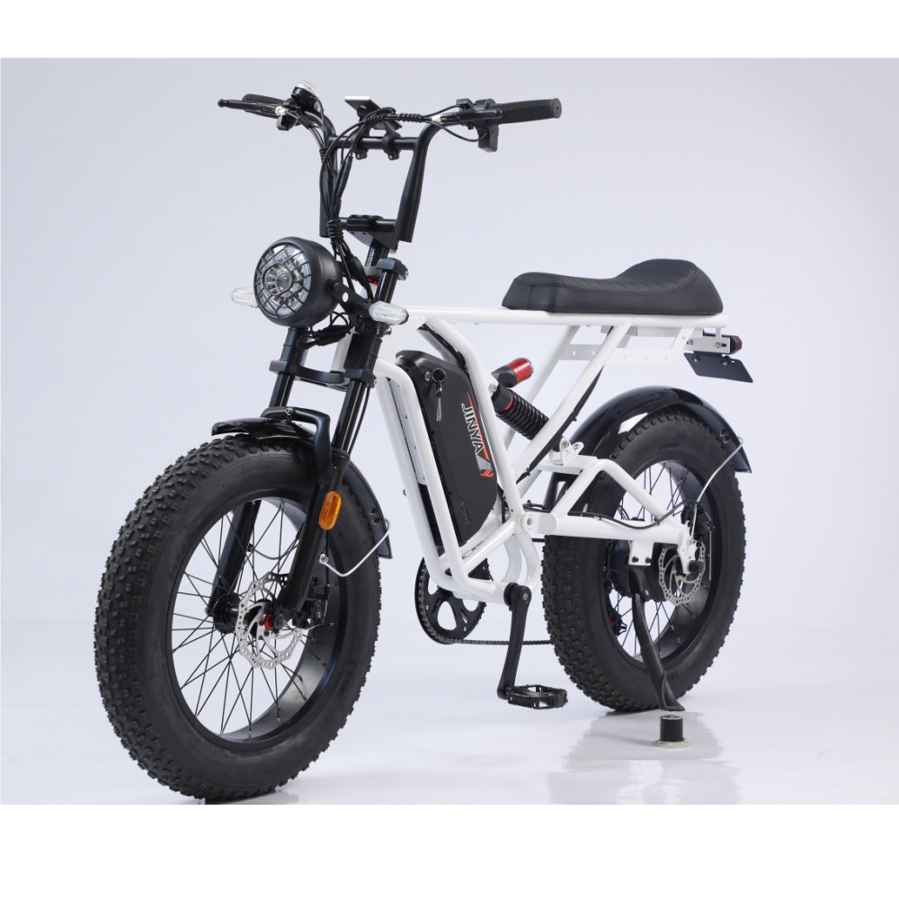 Popular Ebike Electric Bike Electric Fat Bike Electric Mountain Bike Bicicleta Electrica E Bicycle