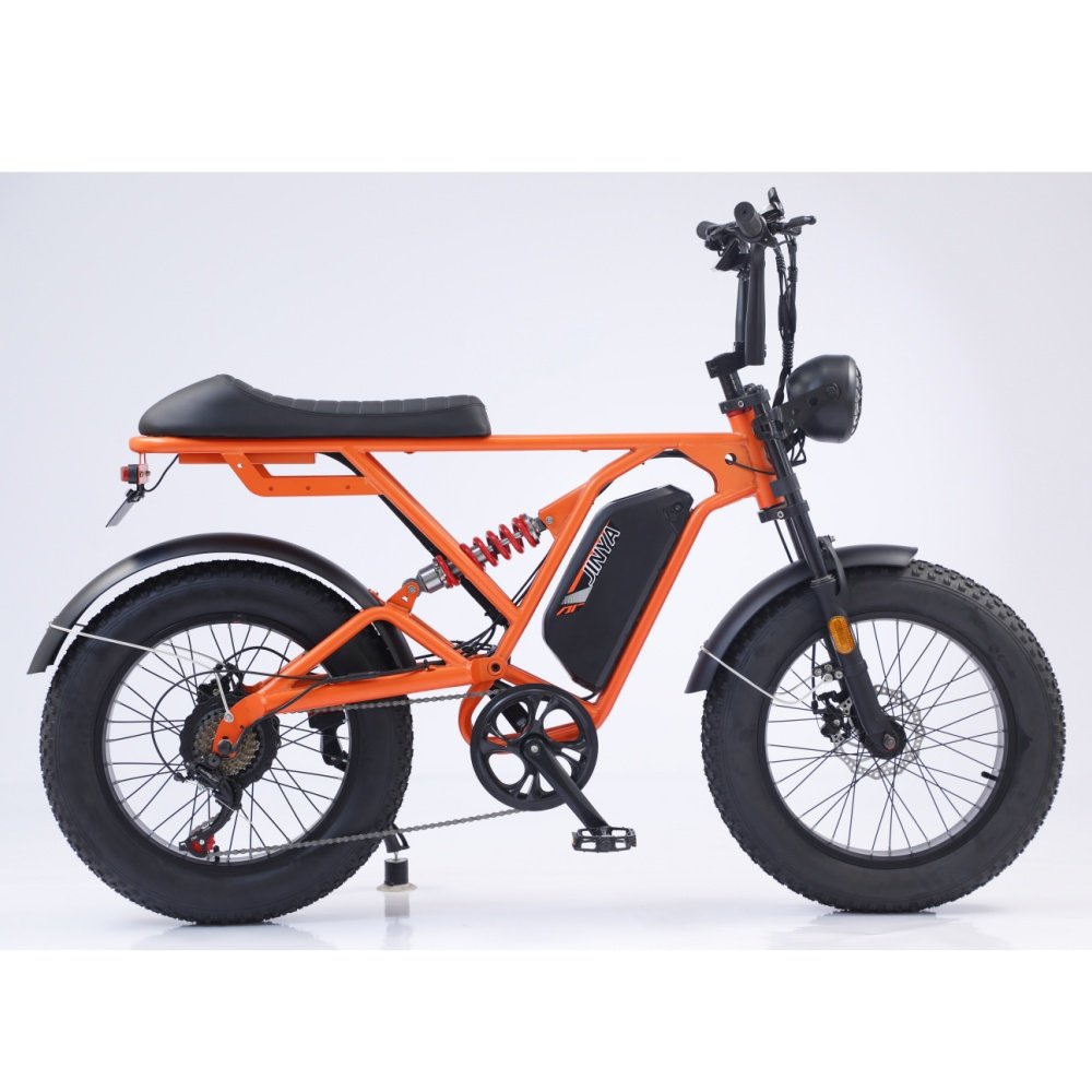 Popular Ebike Electric Bike Electric Fat Bike Electric Mountain Bike Bicicleta Electrica E Bicycle