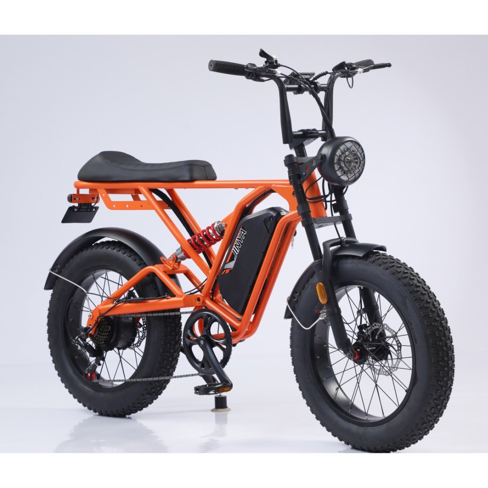 Popular Ebike Electric Bike Electric Fat Bike Electric Mountain Bike Bicicleta Electrica E Bicycle