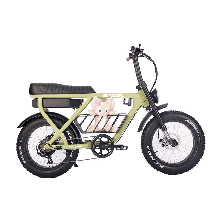 high end BAOGL new frame model city road fat tire mountain ebike 73 city ebike full suspension super electric hybrid bike
