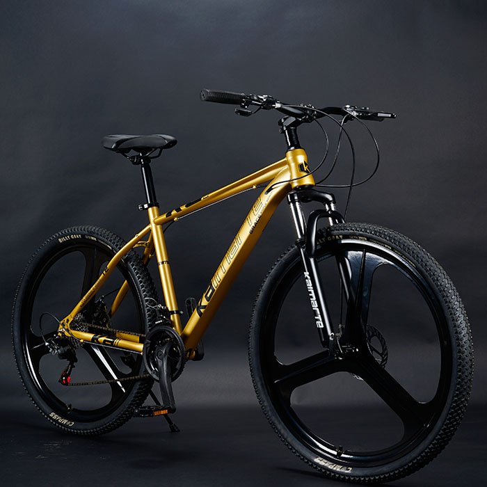 2024 promotion mountain bike 26inch MTB BIKE 21speed suspension Mag-alloy bicycle cheap price