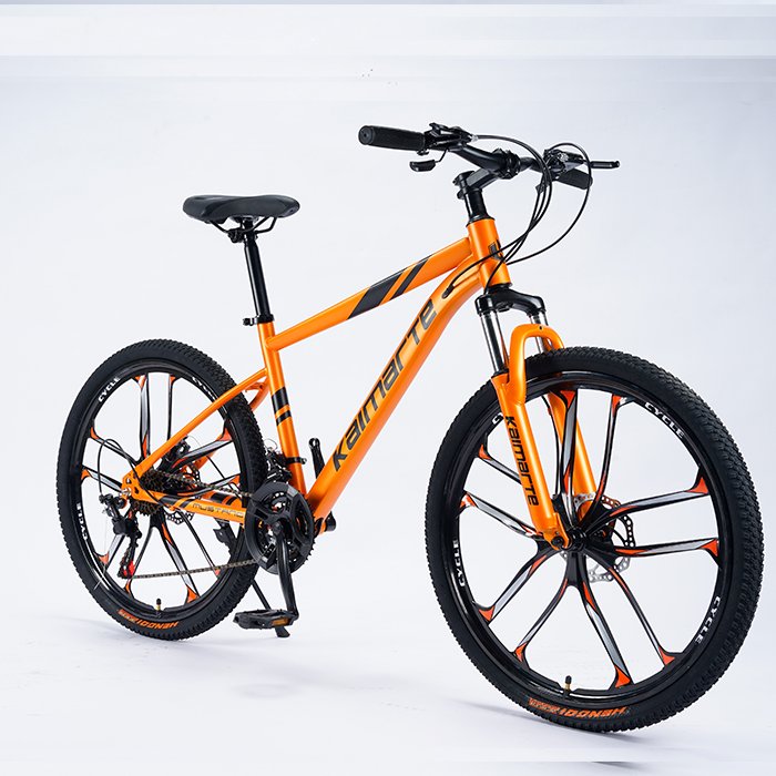 2024 promotion mountain bike 26inch MTB BIKE 21speed suspension Mag-alloy bicycle cheap price