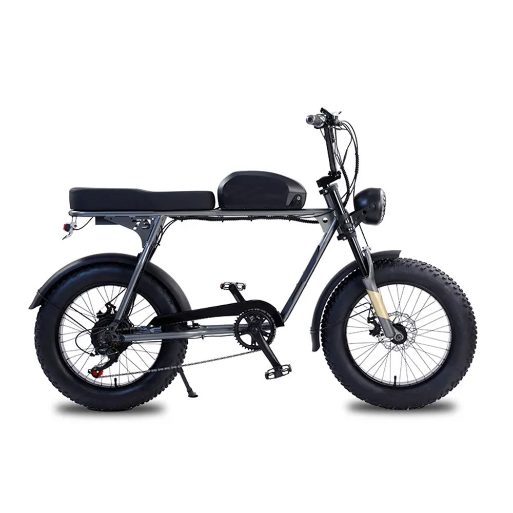 Fast delivery Aluminum frame electric bike max speed 55km Disc Brake electric bicycle 500W 750W fast electric bike