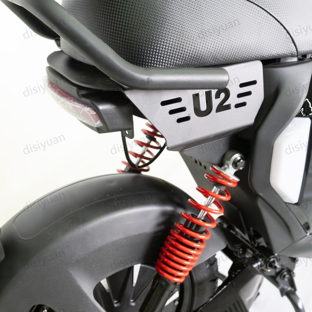 N5 1500W 70km/h High speed racing sports motorcycle electric sportbike DISIYUAN import and export motorcycle sportbike for adult