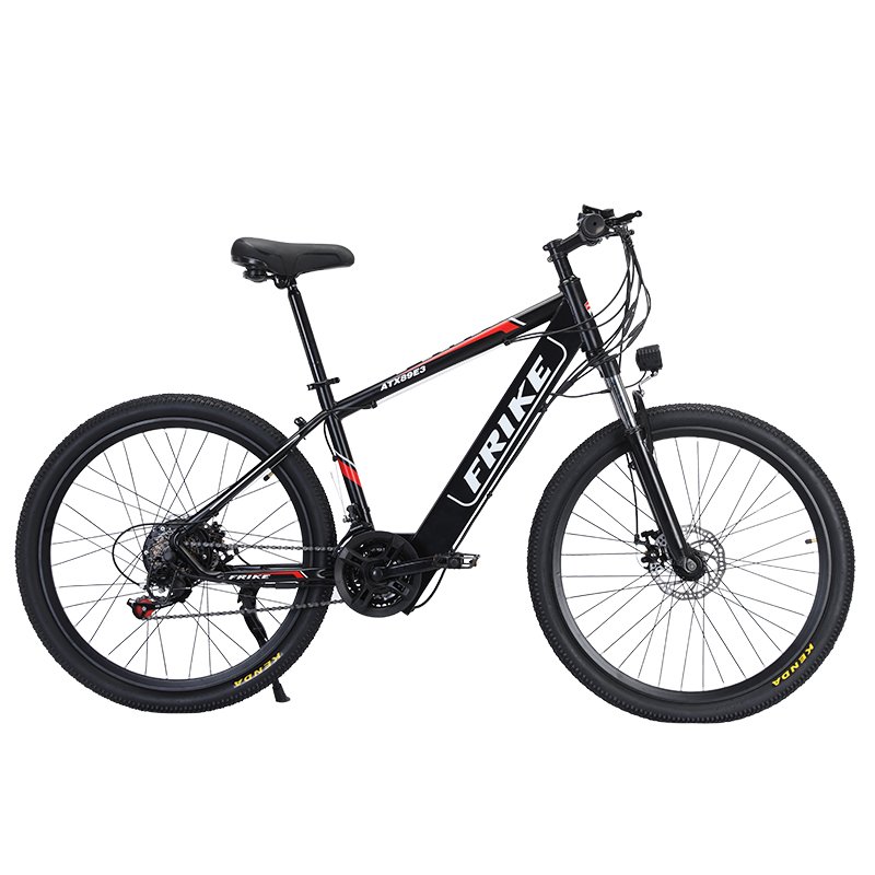 Factory hot selling electric mountain bike FRIKE electric bike 36V/48V electric bike for adults