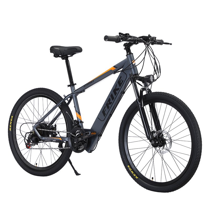 Factory hot selling electric mountain bike FRIKE electric bike 36V/48V electric bike for adults
