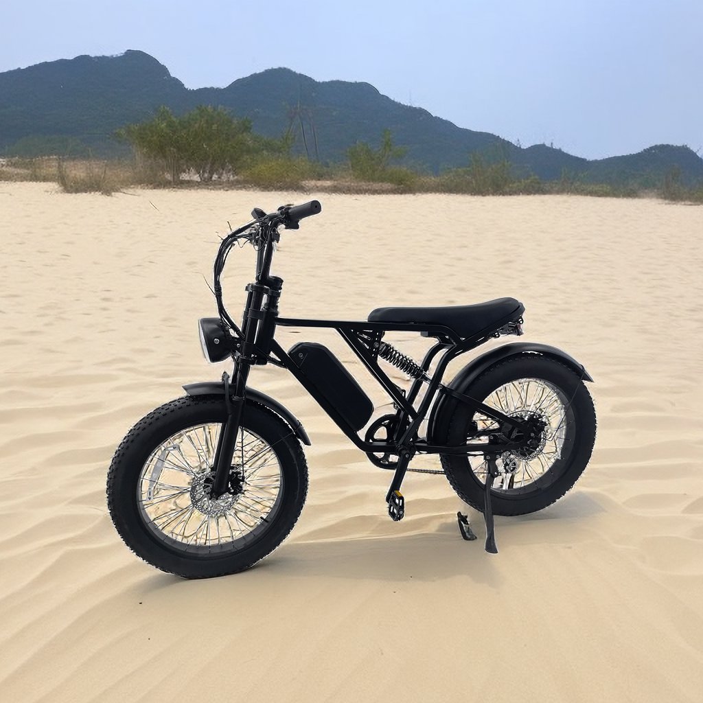 Y-24 250W/500w 48v Rear Hub Motor 24 Inch Fat Tire Vintage E Bike V8 Electric Fat Tire Bicycle adult electric bike