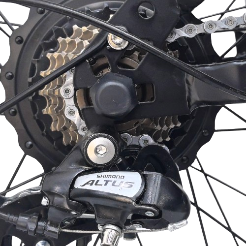 Y-24 250W/500w 48v Rear Hub Motor 24 Inch Fat Tire Vintage E Bike V8 Electric Fat Tire Bicycle adult electric bike