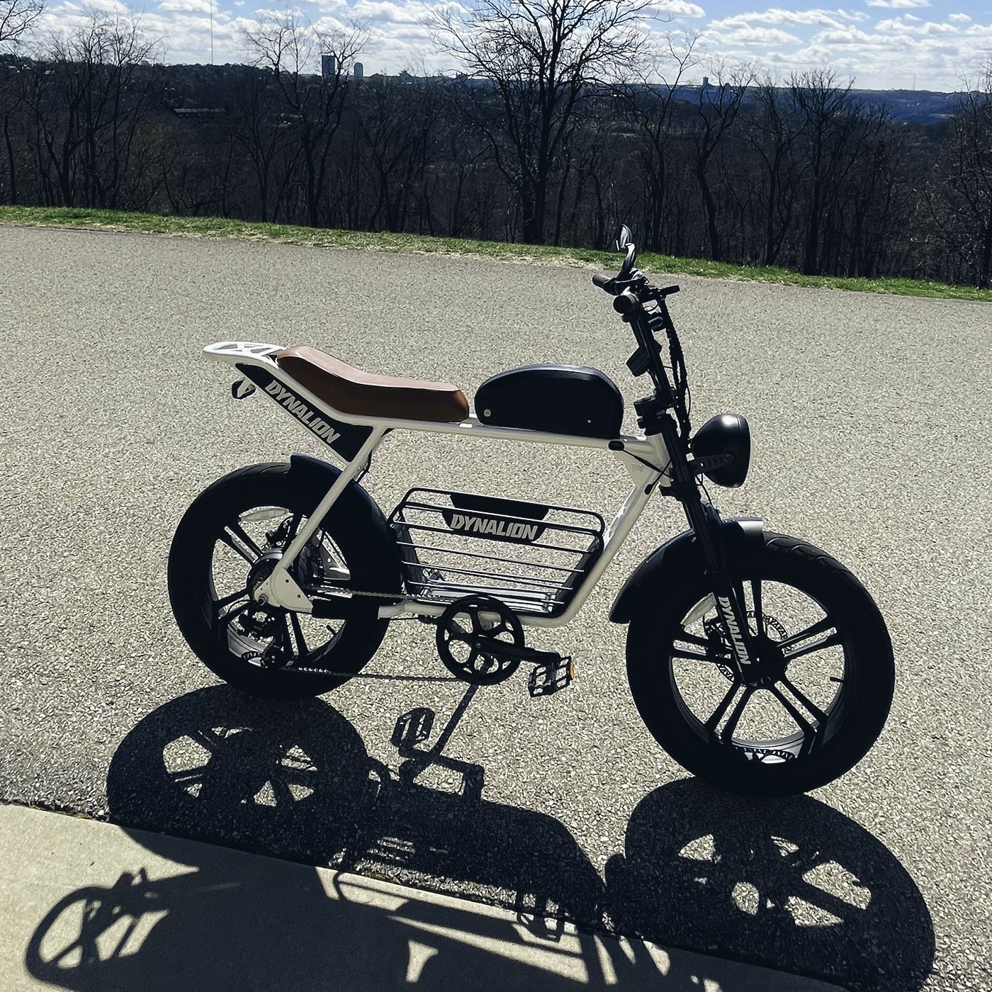 Performance High Quality Electric Bicycle 48V 1000W 16Ah Electric Mountain Bike Disc Brake USA Hot Sale E-Bikes