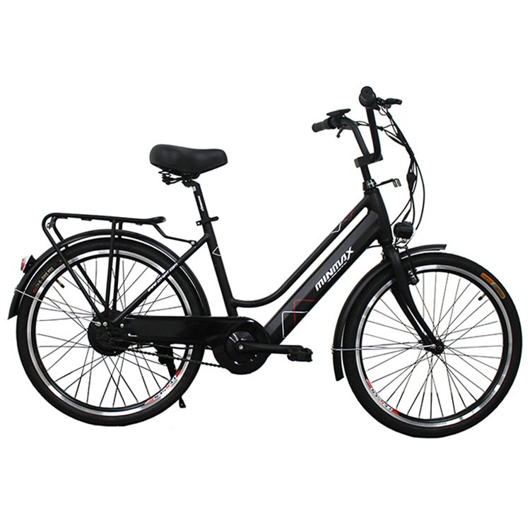 Professional Made Full Suspension Frame Electric Bicycle Electric Bike Popular Motor Power safe Battery 24*1.75
