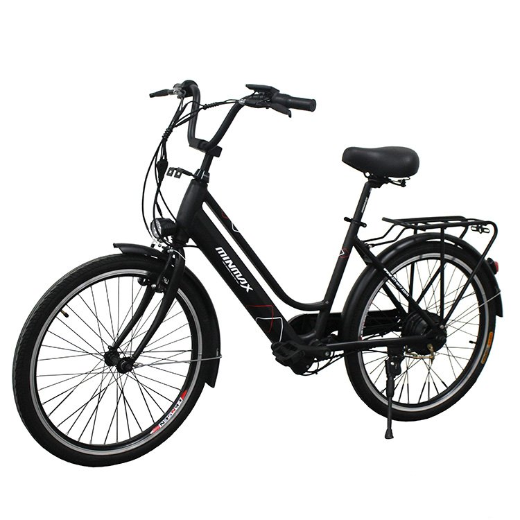 Professional Made Full Suspension Frame Electric Bicycle Electric Bike Popular Motor Power safe Battery 24*1.75
