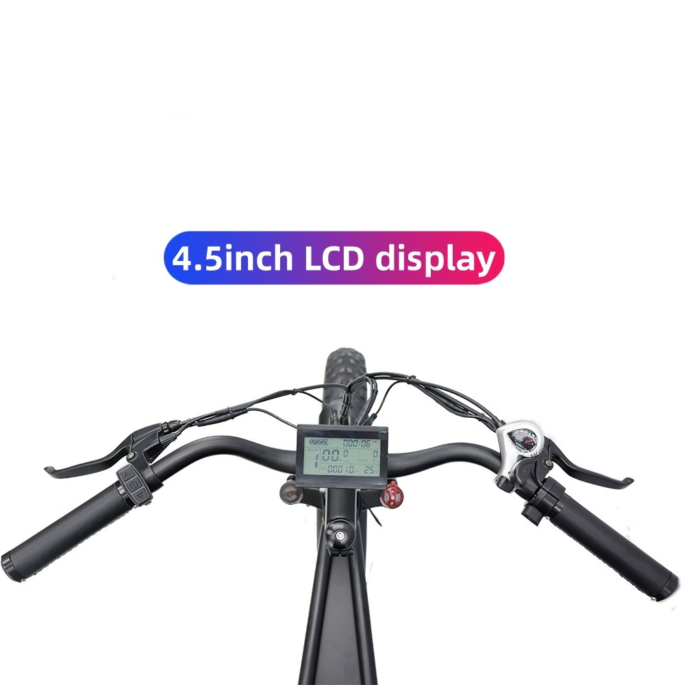 high power 48V 750W 1000w electric motorcycle bicycle 20 inch e-bike electric mountain bike 7 speed 750w electric bike