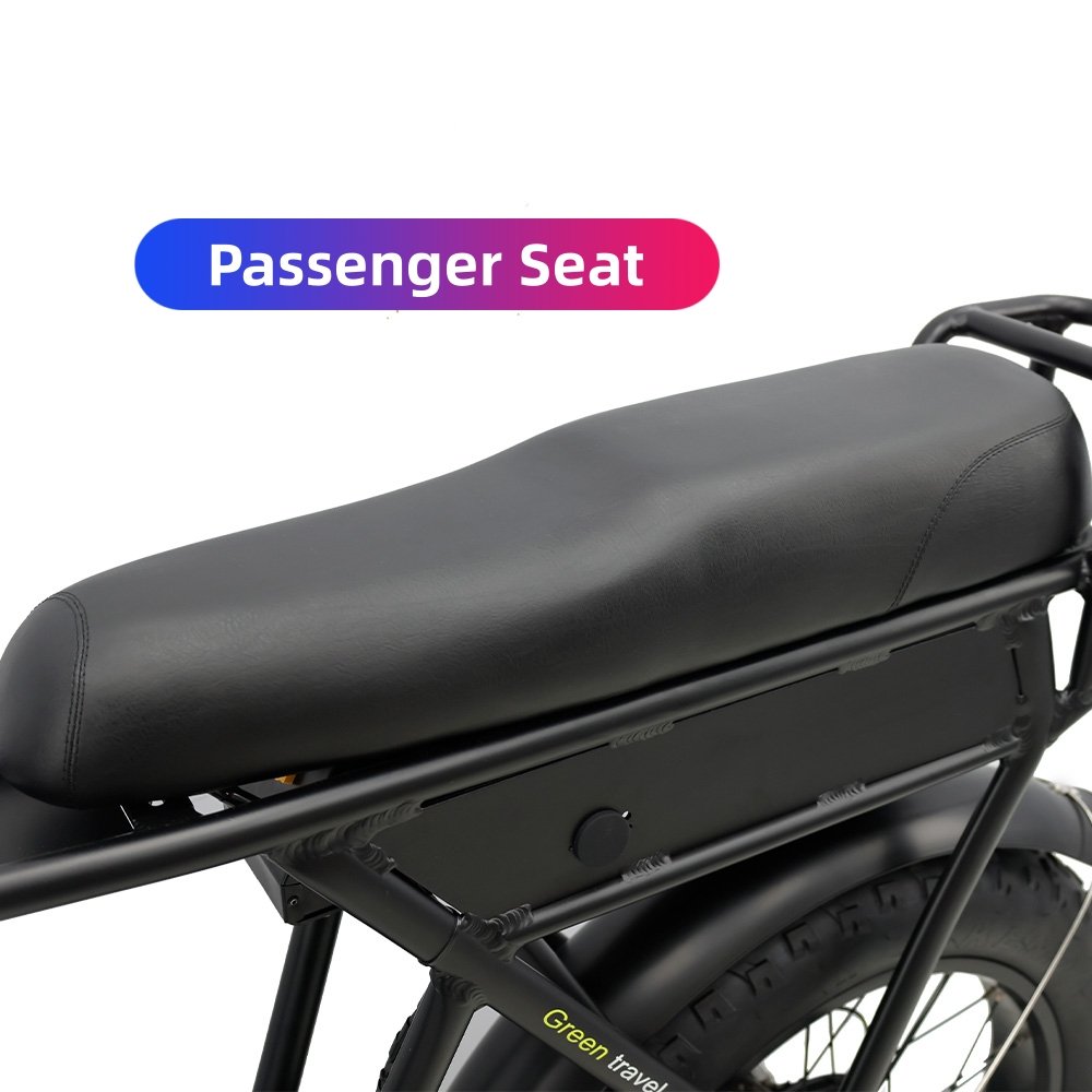 high power 48V 750W 1000w electric motorcycle bicycle 20 inch e-bike electric mountain bike 7 speed 750w electric bike