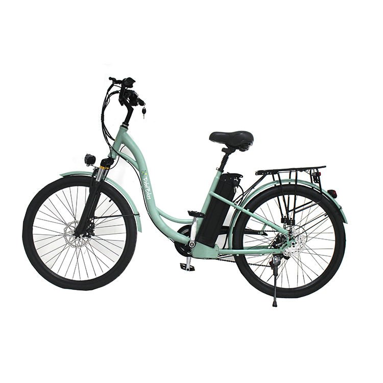 2023 hot selling 36V 10Ah electric bike,electric bicycle(old) electric bicycle,lithium battery 250W electric city bike