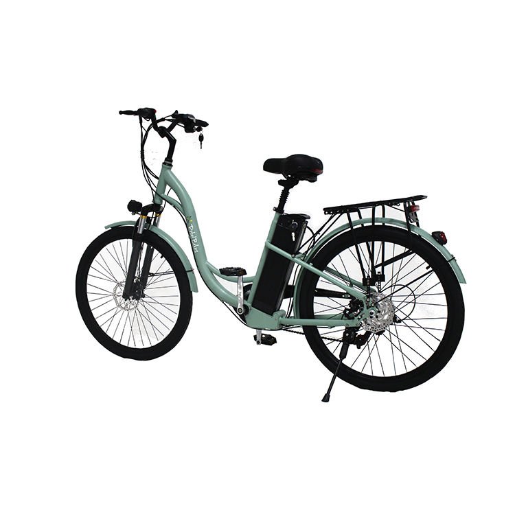 2023 hot selling 36V 10Ah electric bike,electric bicycle(old) electric bicycle,lithium battery 250W electric city bike