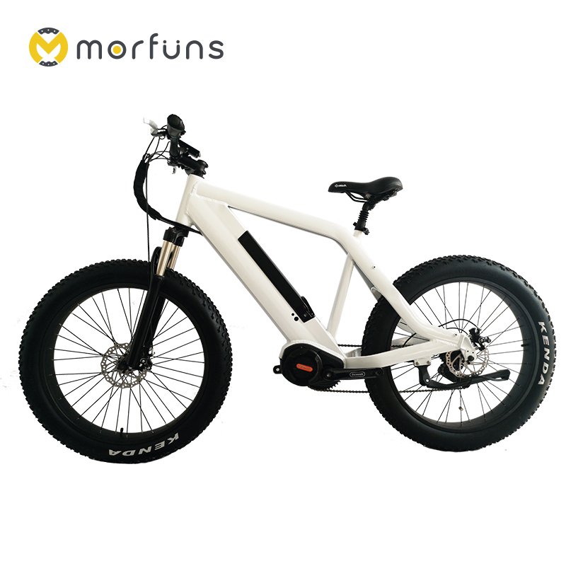 1000W MTB Electric Fat Tire Bike OEM Ebike with Bafang M620 Mid Drive Motor 8fun Electric Mountain Bike