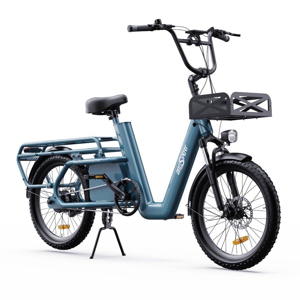 20 Inch Long Range Ebike Delivery 48V 27Ah 650W Electric Cargo E-bike For Food Delivery Europe City Bicycle Bike EU warehouse