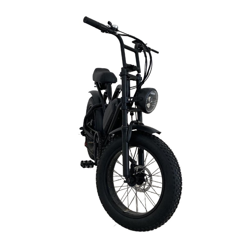 Europe fashion travel tools USA e bike motorcycles electric mountain bike