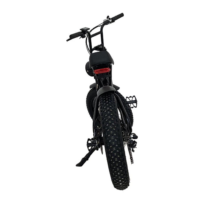 Europe fashion travel tools USA e bike motorcycles electric mountain bike