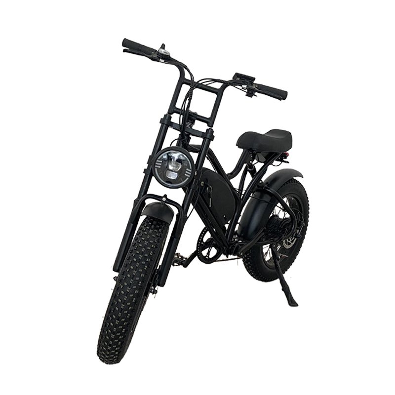 Europe fashion travel tools USA e bike motorcycles electric mountain bike