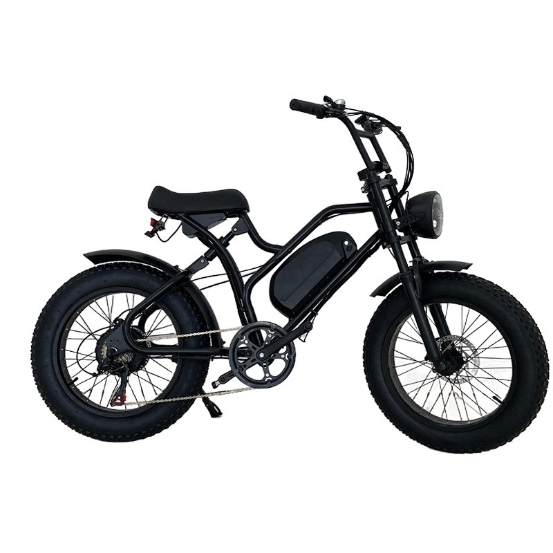 Europe fashion travel tools USA e bike motorcycles electric mountain bike