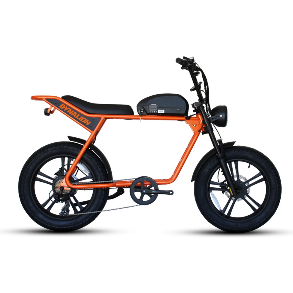 Dynalion 20*4.0 Inch Fat Tire Electric Dirt Bike Super Electric 73 Road Bike 750w Electric Mountain Bike For Adult