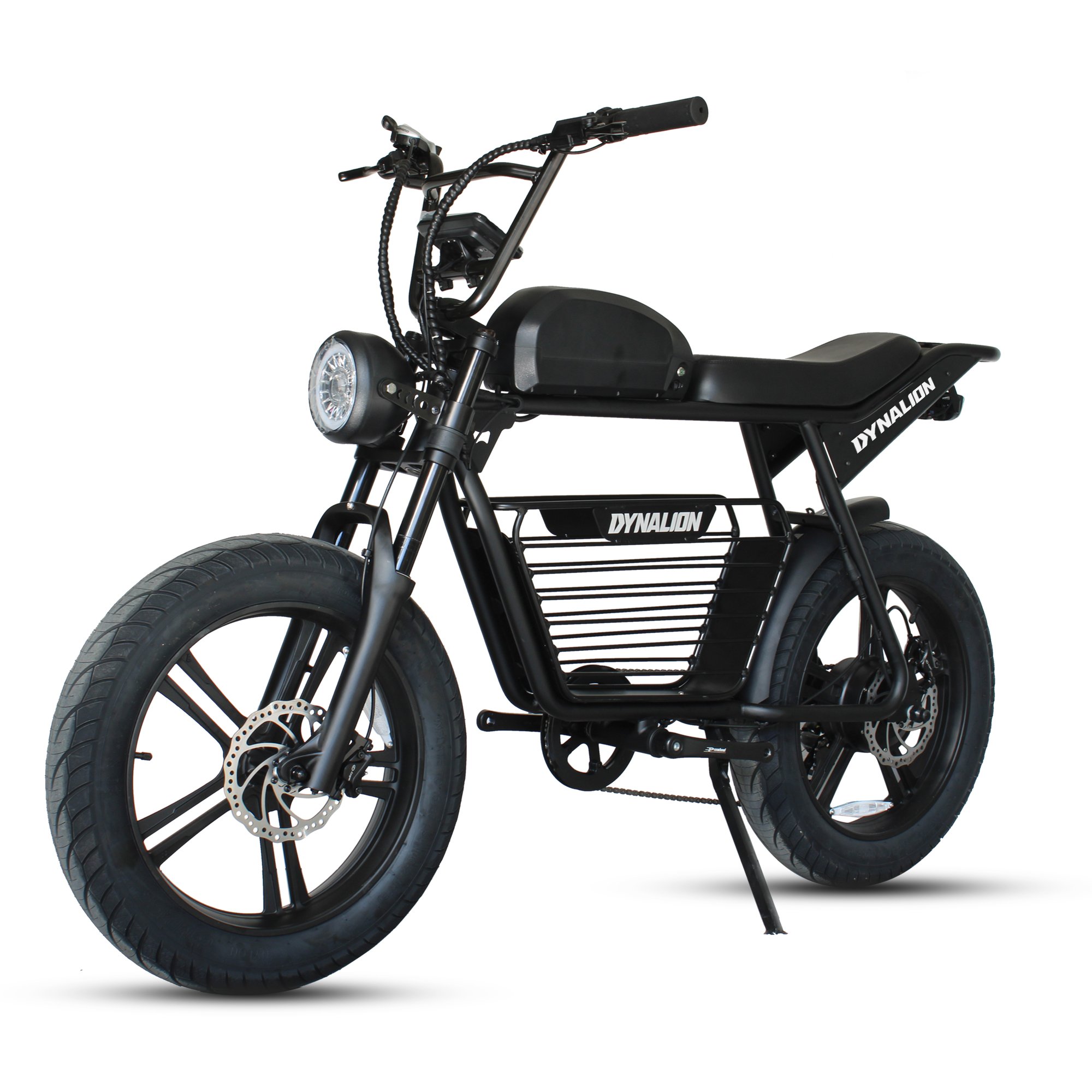 Dynalion 20*4.0 Inch Fat Tire Electric Dirt Bike Super Electric 73 Road Bike 750w Electric Mountain Bike For Adult