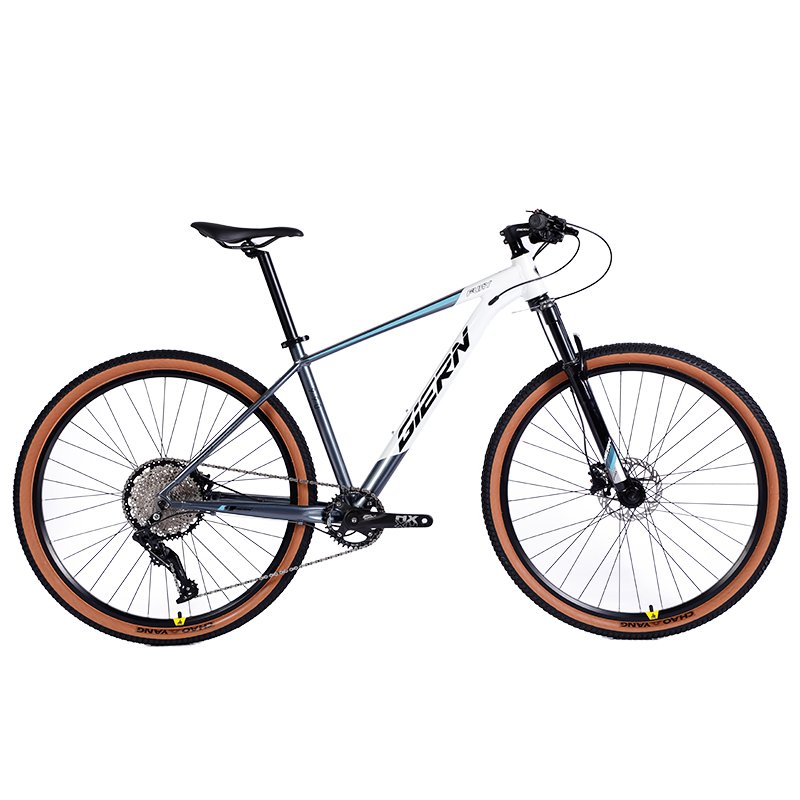 Preferential Factory Price 29 Inch 12 Speed Light Weight Aluminum Student Bicycle Bicicleta Mountain Bike Biciclets mtb bicycle