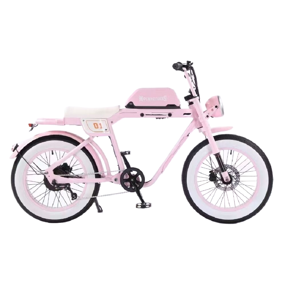 New Model Fat Tire Motor E Bike 2024 Electric Ladies Big Wheel Bicycle For Adult 1000W Ebike Electric Dirt Motorcycle City Bike