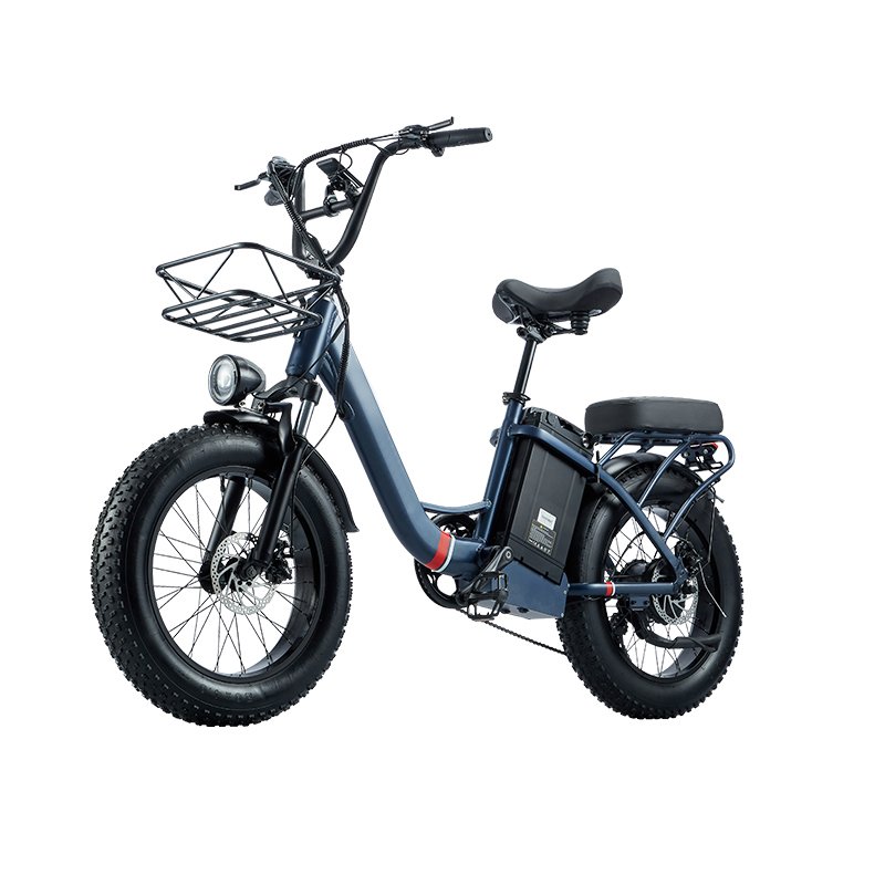 EU USA city fatbike 20inch foldable 48V 1000W 40AH as dual battery e-bike espanol electric cycle with optional cargo bike basket