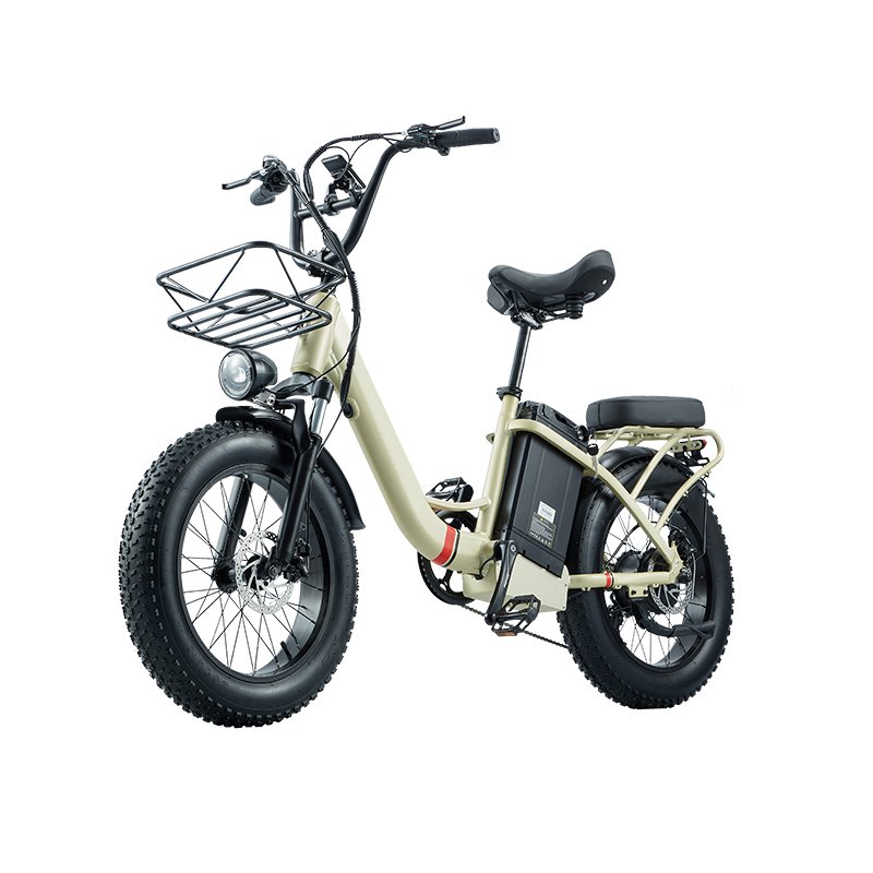 EU USA city fatbike 20inch foldable 48V 1000W 40AH as dual battery e-bike espanol electric cycle with optional cargo bike basket