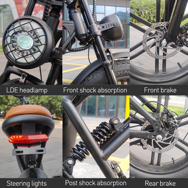 Fat Tire Snow Electric Mountain Bike Adult E-bike Supply Steel Chinese Hotsale 48v 750w 10ah 20 Inch Lithium Battery LCD Display