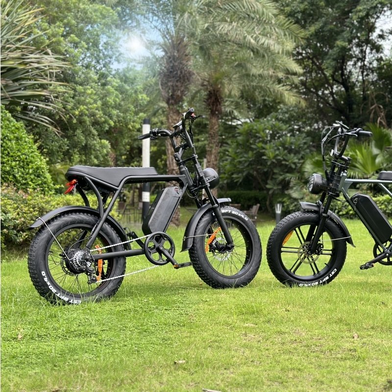 OUXI V8 Dutch warehouse ebike US warehouse e-bike all terrain electric bicycle mountain bike 250w ebike
