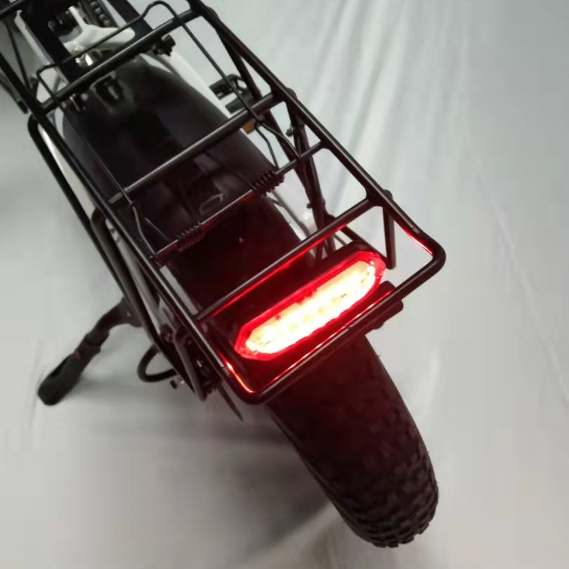 Electric mountain bike 750W 48V motor 17.5ah 48V lithium battery 20" wheel fat tire alloy aluminum frame electric folding bike