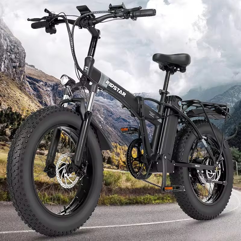 Ridstar G20 Electric Folding Bike 20 Inch Fat Tire Adult Electric Bike Electric Mountain Bike
