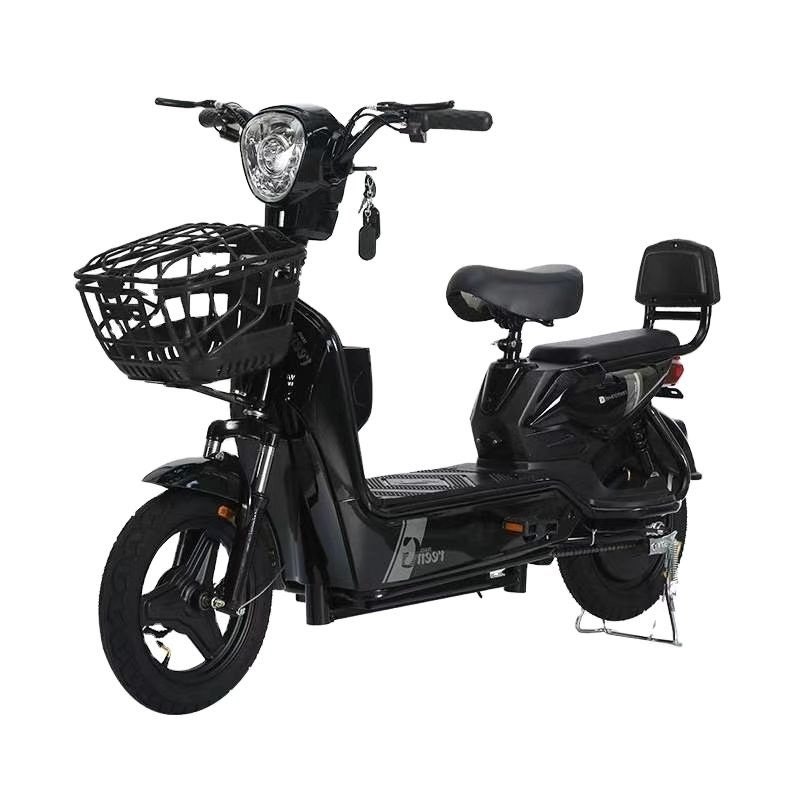 2024 Best Quality 350W Moto r 14-inch 48V/12AH/20Ah Electric City Bicycle 2-Seats Urban Bike