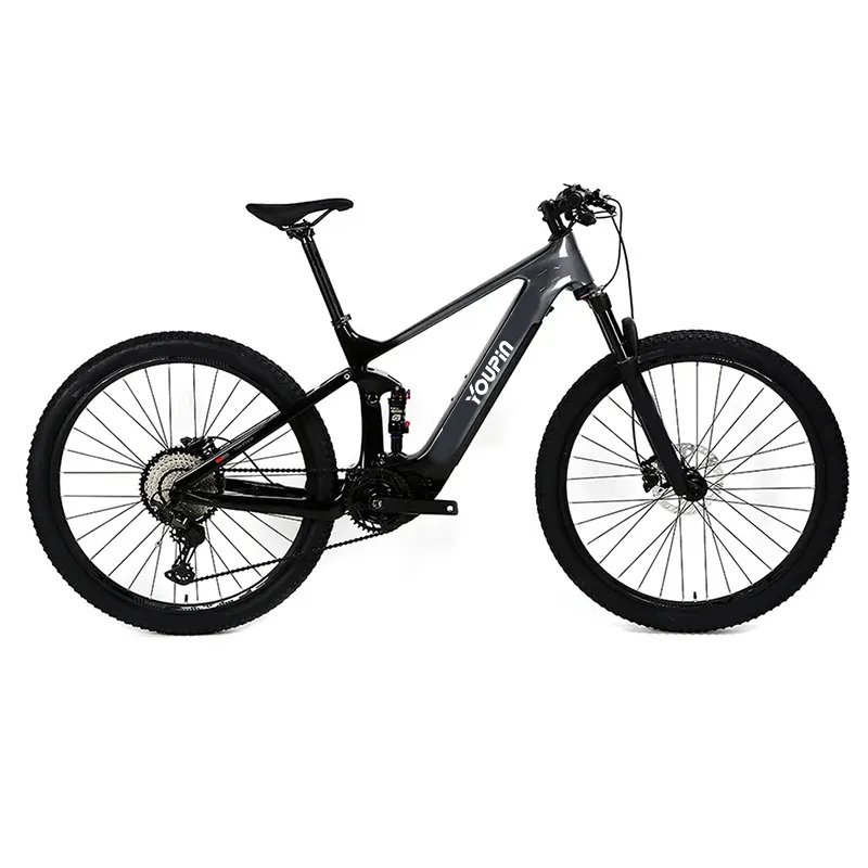 New Arrivals Adult Two Wheel Travel E-Bike Long Range Electric City Bicycle 48V 15A Electric Mountain Bike