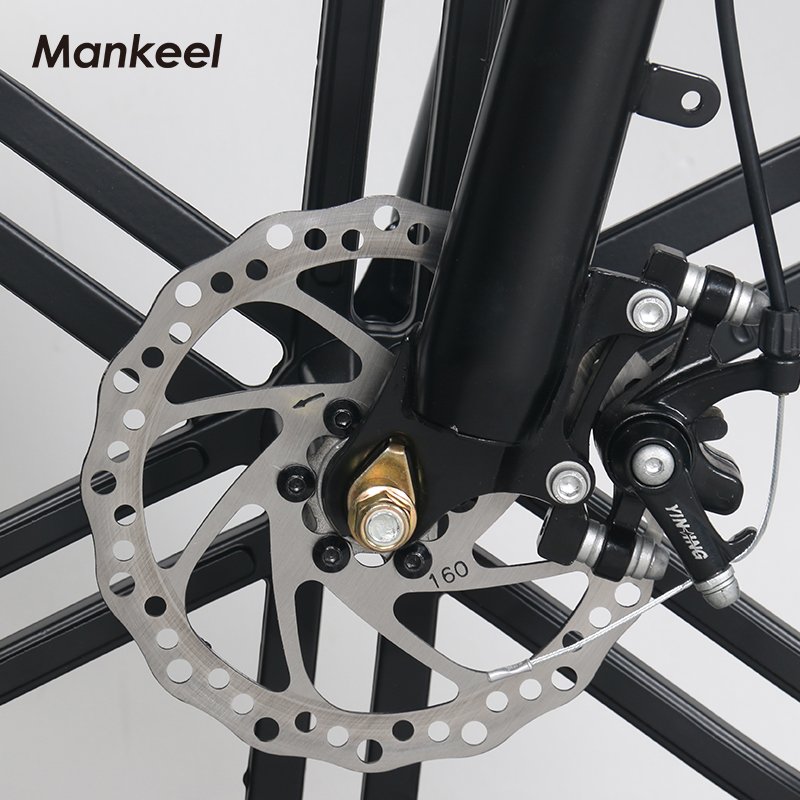 Aluminium alloy e bike electric bicycle 36V 500W 10AH battery electric bike bicycle besting selling e mountain bike
