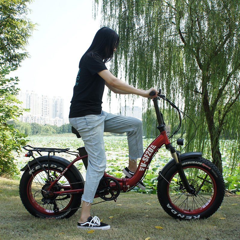20inch fat tire low step through 250W 750W 36V 48V frame folding ebike beach electric bicycle bike ladies