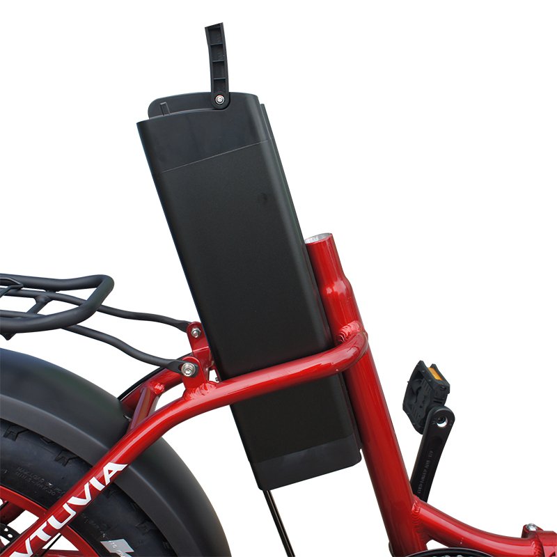 20inch fat tire low step through 250W 750W 36V 48V frame folding ebike beach electric bicycle bike ladies