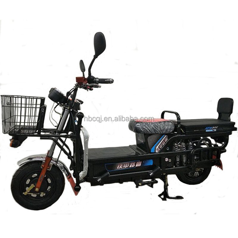 Electric bike big load king