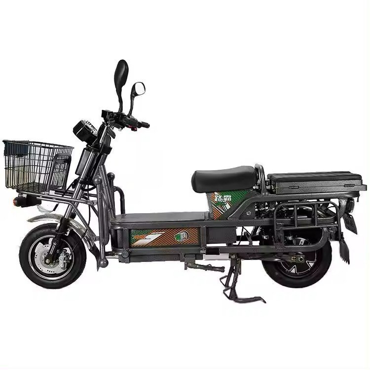 Electric bike big load king