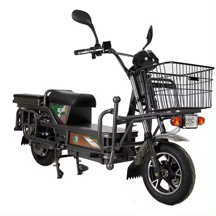 Electric bike big load king