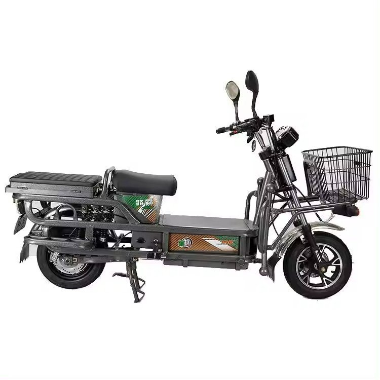 Electric bike big load king