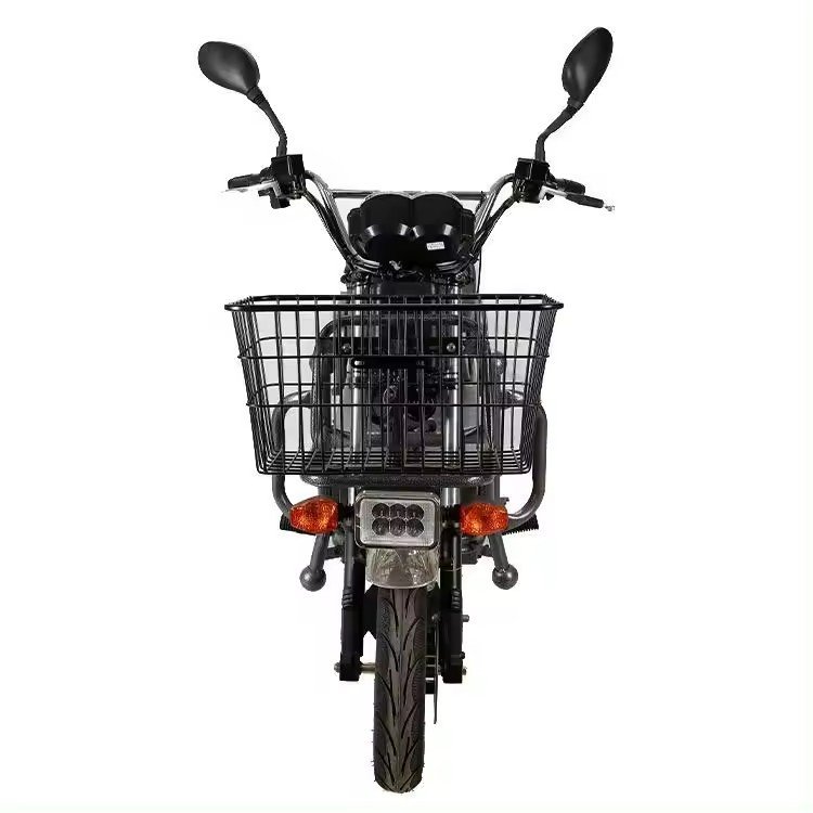 Electric bike big load king