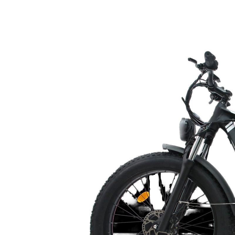 New Powerful Electric Mountain Bike Dual Motor 2000W 16AH 22.4AH City Road Bicycle 48V 26inch Fat Tire Adult E Bike